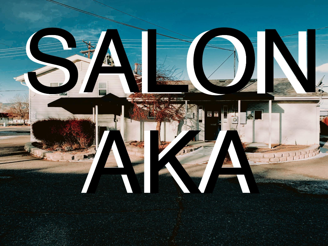 Salon aka